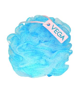 Aqua Delight Sponge - BA-3/29