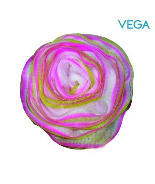 The Rose Sponge