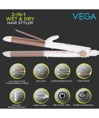 2 in1 Wet & Dry Hair Styler