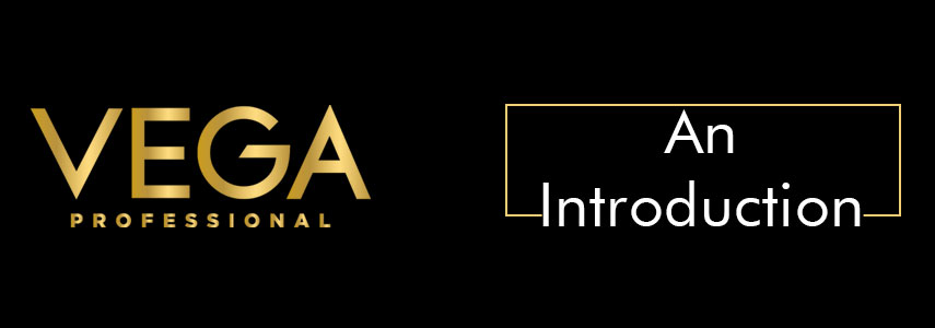 Introducing Vega in the World of Professionals – Vega Professional