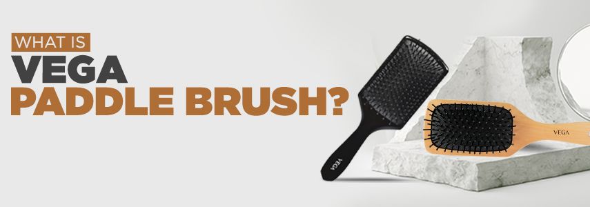 What Is VEGA Paddle Hair Brush and Why Do You Need It?